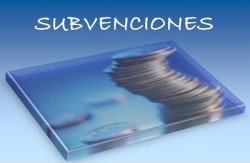 Descubre cómo tributan las subvenciones en el IRPF - La Viña