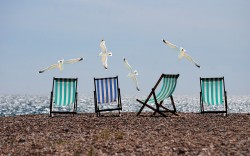 Las vacaciones en hostelería - La Viña