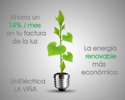 LA VIÑA renueva su acuerdo con Unieléctrica Energía tras alcanzar ahorros medios del 14% - La Viña